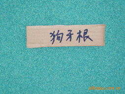 沭陽縣花中城綠化工程 優質花卉種子與種苗產品指南
